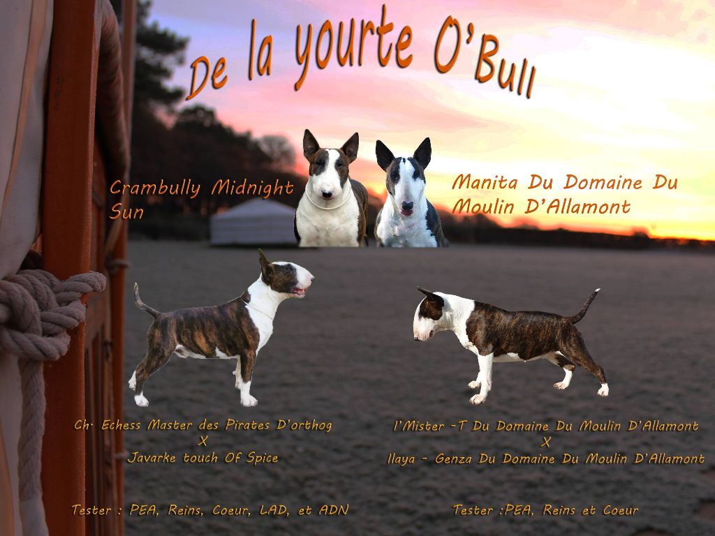 de la Yourte O'Bull - Mariage entre Sun et Manita 